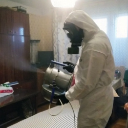 Дезинфекция от клопов в Богучаре