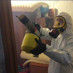 Уничтожение клопов в квартире. Богучар
